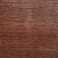 Siena Rosso